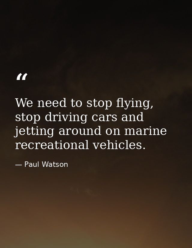 We need to stop flying, stop driving cars and jetting around on marine recreational vehicles. — Paul Watson