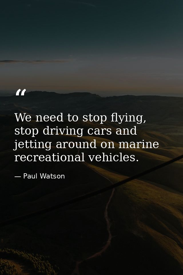 We need to stop flying, stop driving cars and jetting around on marine recreational vehicles. — Paul Watson