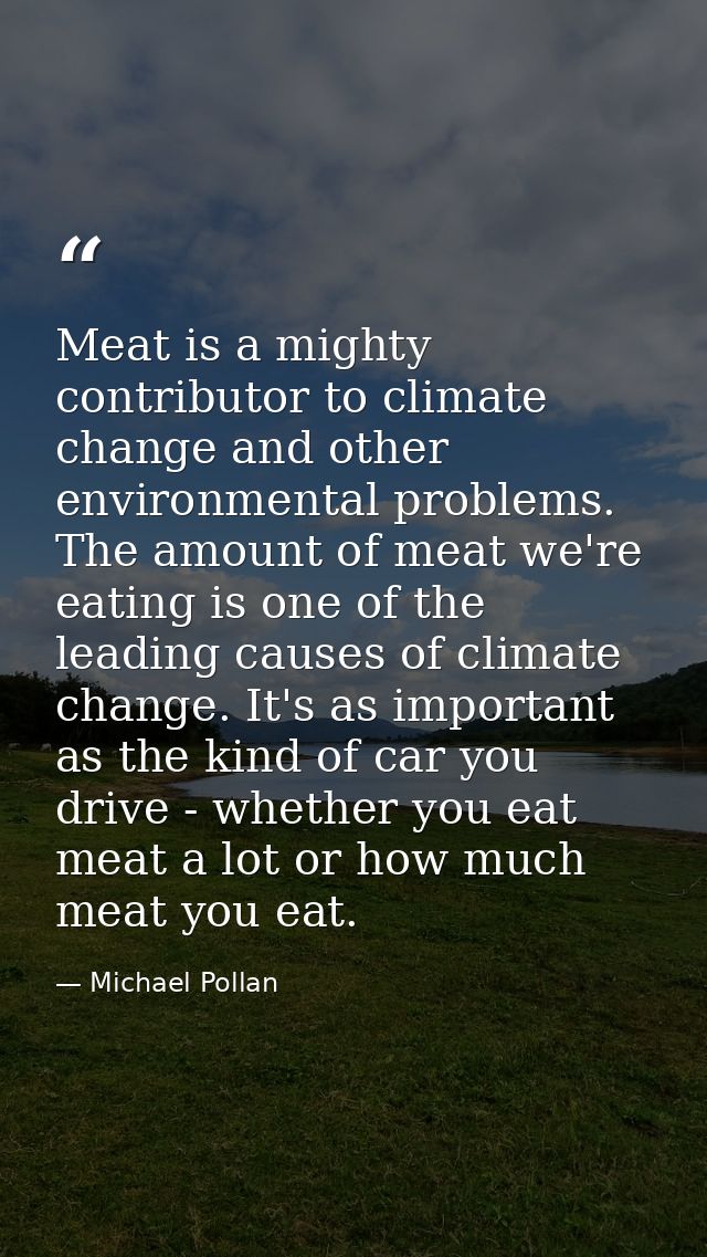 Meat is a mighty contributor to climate change and other environmental problems. The amount of meat we're eating is one  — Michael Pollan