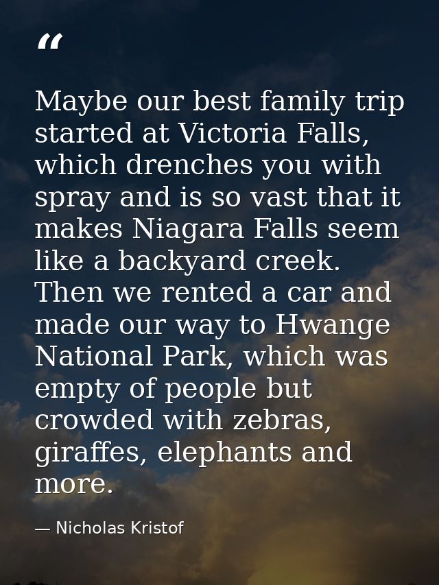 Maybe our best family trip started at Victoria Falls, which drenches you with spray and is so vast that it makes Niagara — Nicholas Kristof