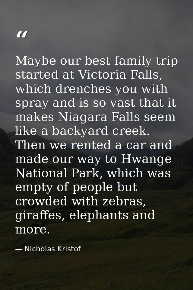 Maybe our best family trip started at Victoria Falls, which drenches you with spray and is so vast that it makes Niagara — Nicholas Kristof