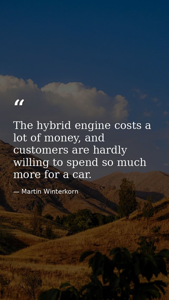 The hybrid engine costs a lot of money, and customers are hardly willing to spend so much more for a car. — Martin Winterkorn