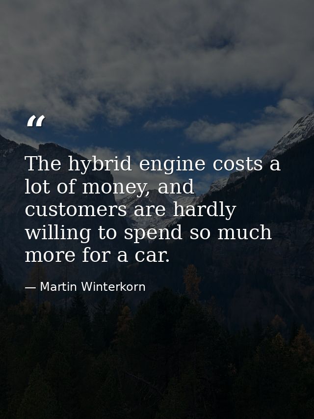 The hybrid engine costs a lot of money, and customers are hardly willing to spend so much more for a car. — Martin Winterkorn