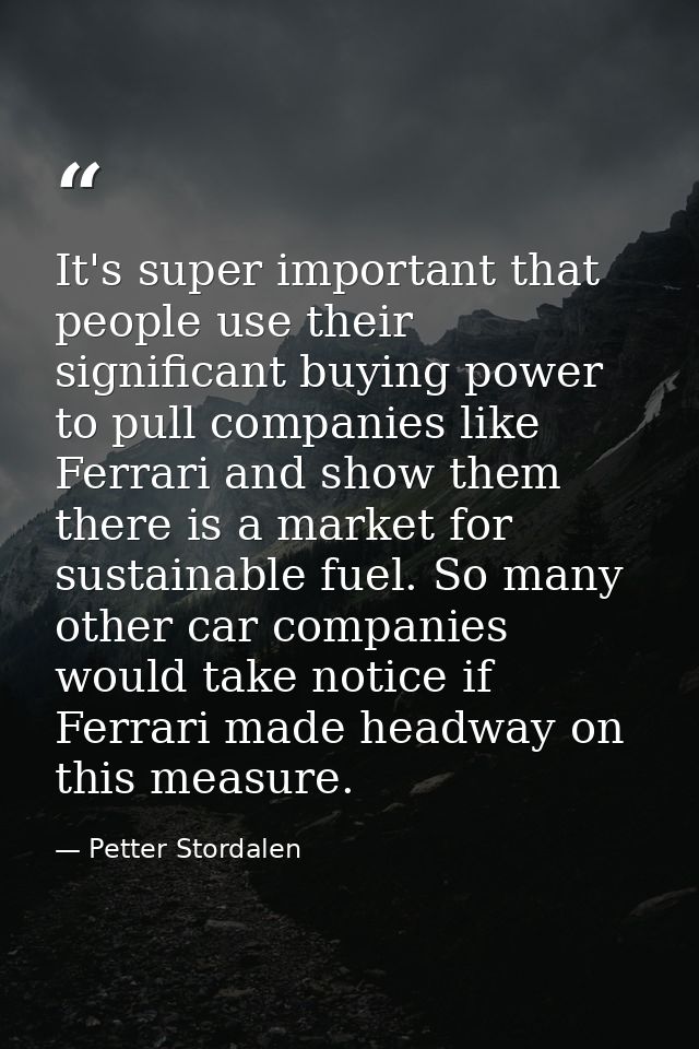 It's super important that people use their significant buying power to pull companies like Ferrari and show them there i — Petter Stordalen