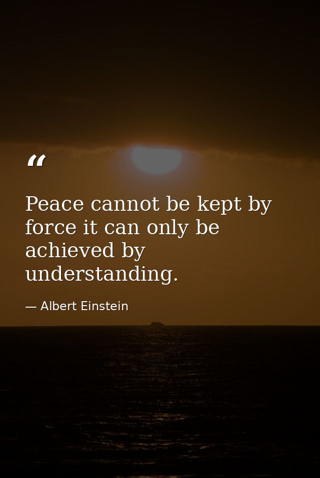 Peace cannot be kept by force it can only be achieved by understanding. — Albert Einstein
