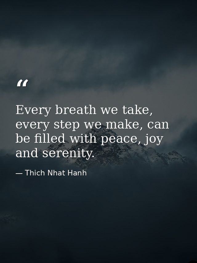 Every breath we take, every step we make, can be filled with peace, joy and serenity. — Thich Nhat Hanh