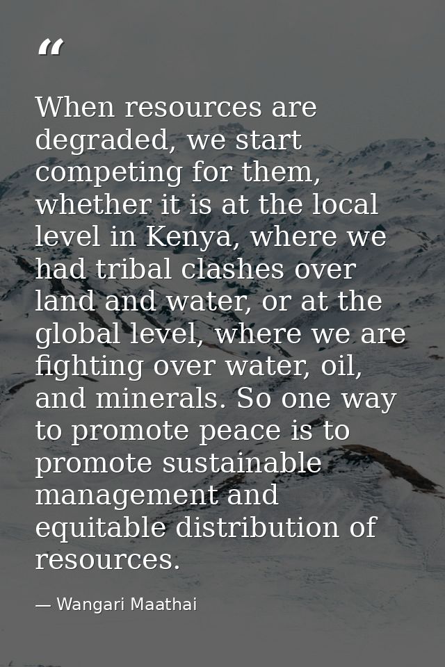When resources are degraded, we start competing for them, whether it is at the local level in Kenya, where we had tribal — Wangari Maathai
