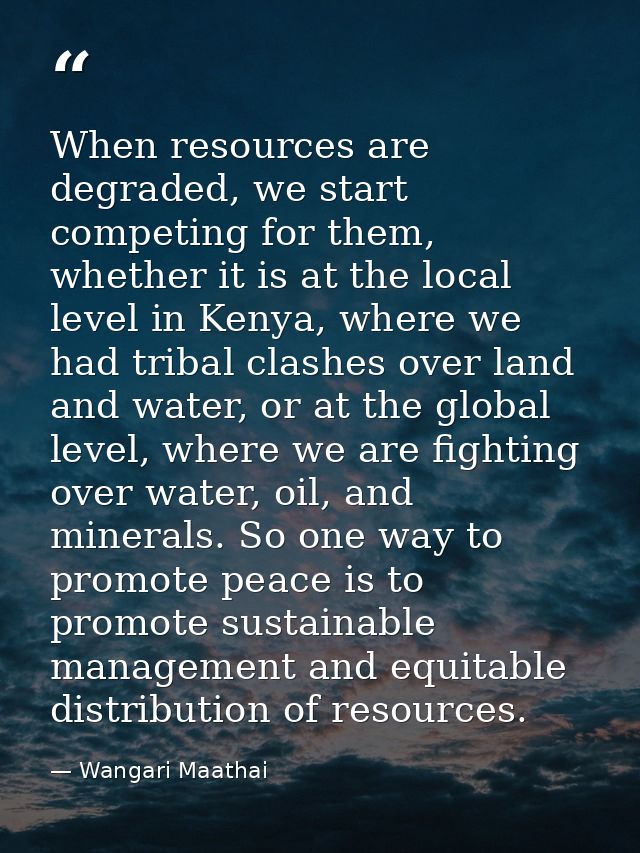 When resources are degraded, we start competing for them, whether it is at the local level in Kenya, where we had tribal — Wangari Maathai