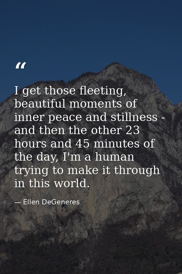 I get those fleeting, beautiful moments of inner peace and stillness - and then the other 23 hours and 45 minutes of the — Ellen DeGeneres