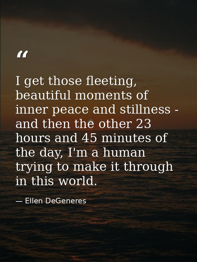 I get those fleeting, beautiful moments of inner peace and stillness - and then the other 23 hours and 45 minutes of the — Ellen DeGeneres