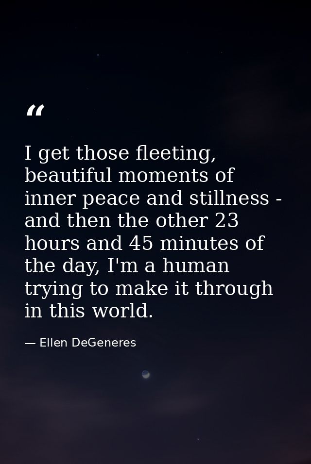 I get those fleeting, beautiful moments of inner peace and stillness - and then the other 23 hours and 45 minutes of the — Ellen DeGeneres