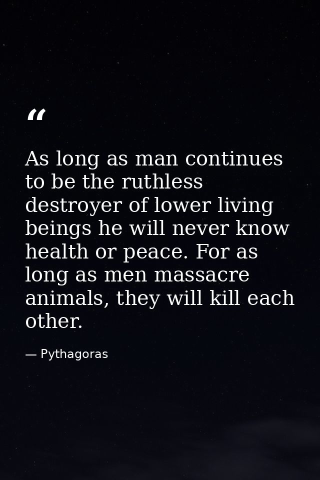 As long as man continues to be the ruthless destroyer of lower living beings he will never know health or peace. For as  — Pythagoras