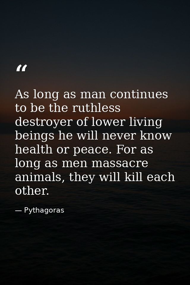 As long as man continues to be the ruthless destroyer of lower living beings he will never know health or peace. For as  — Pythagoras