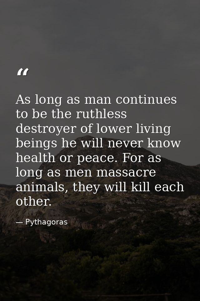 As long as man continues to be the ruthless destroyer of lower living beings he will never know health or peace. For as  — Pythagoras