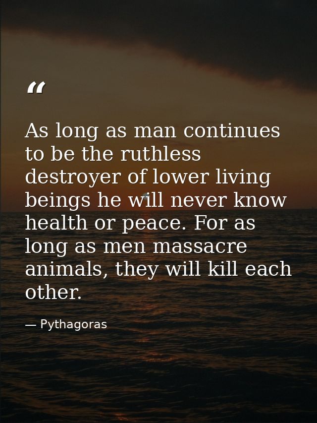 As long as man continues to be the ruthless destroyer of lower living beings he will never know health or peace. For as  — Pythagoras