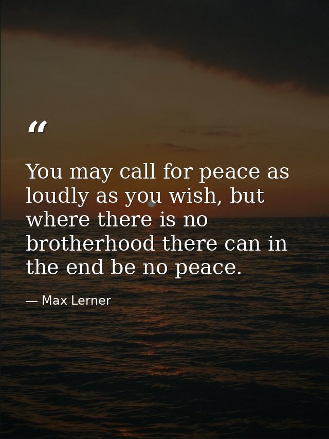 You may call for peace as loudly as you wish, but where there is no brotherhood there can in the end be no peace. — Max Lerner