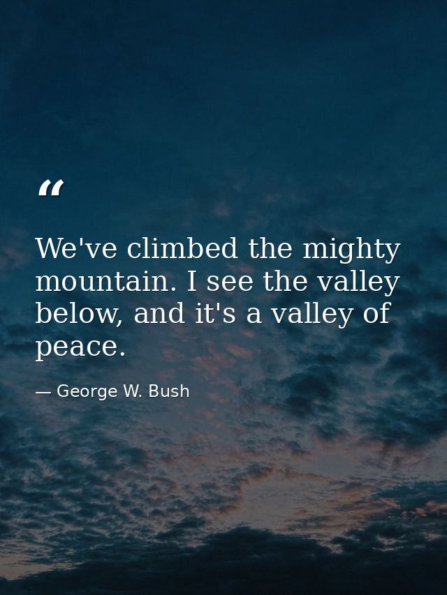 We've climbed the mighty mountain. I see the valley below, and it's a valley of peace. — George W. Bush