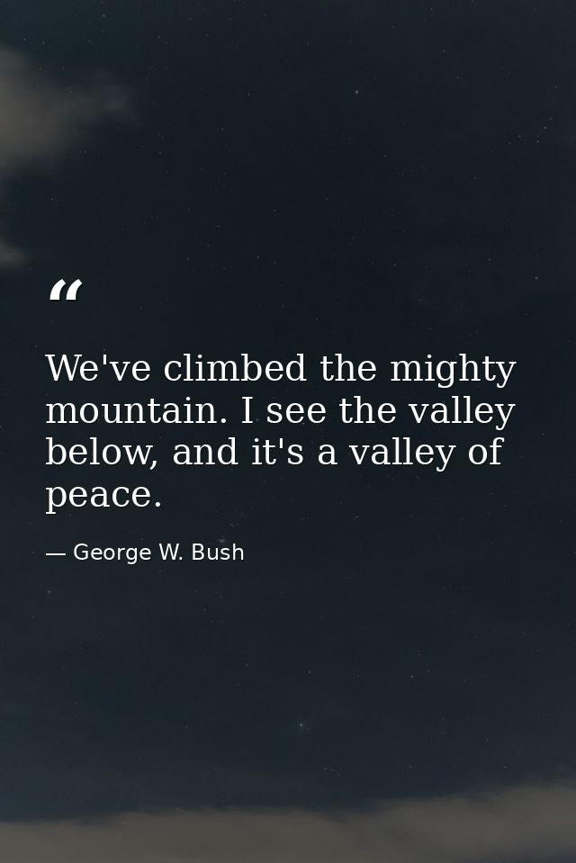 We've climbed the mighty mountain. I see the valley below, and it's a valley of peace. — George W. Bush