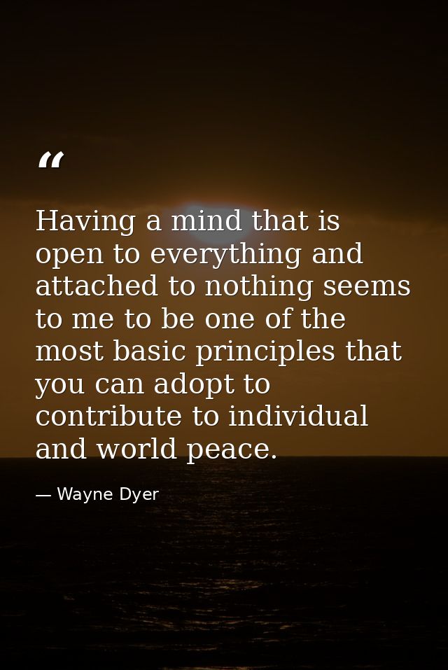 Having a mind that is open to everything and attached to nothing seems to me to be one of the most basic principles that — Wayne Dyer