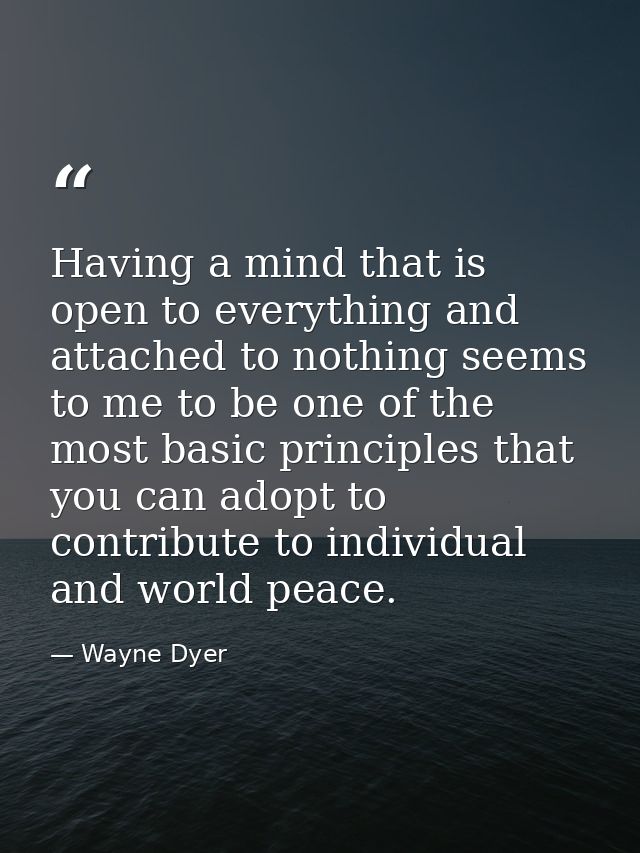 Having a mind that is open to everything and attached to nothing seems to me to be one of the most basic principles that — Wayne Dyer