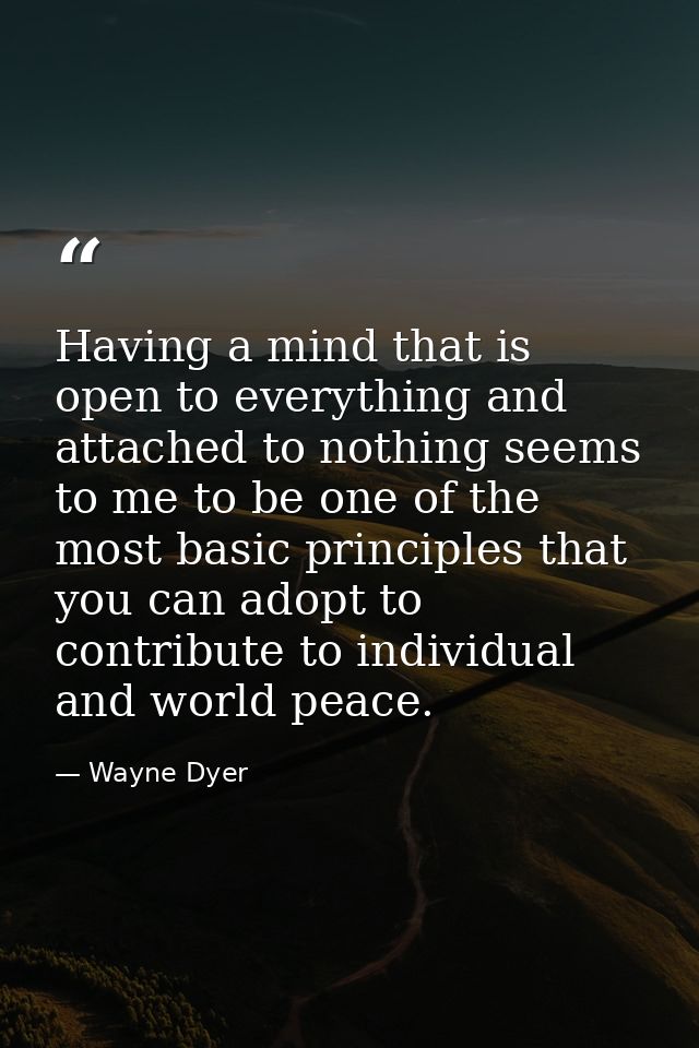Having a mind that is open to everything and attached to nothing seems to me to be one of the most basic principles that — Wayne Dyer