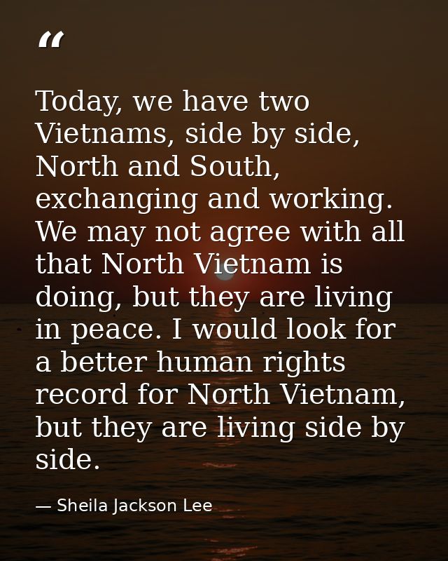 Today, we have two Vietnams, side by side, North and South, exchanging and working. We may not agree with all that North — Sheila Jackson Lee
