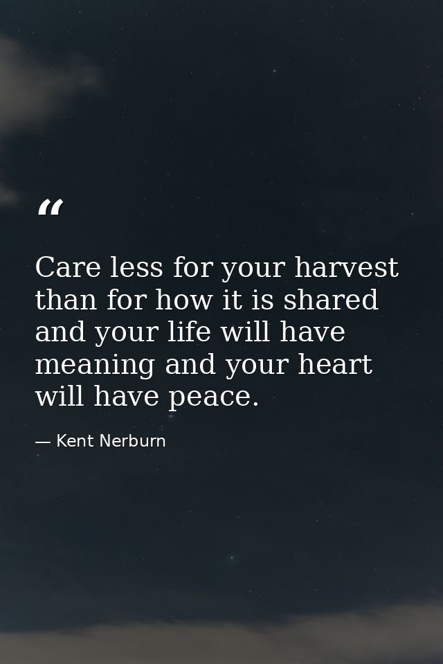 Care less for your harvest than for how it is shared and your life will have meaning and your heart will have peace. — Kent Nerburn