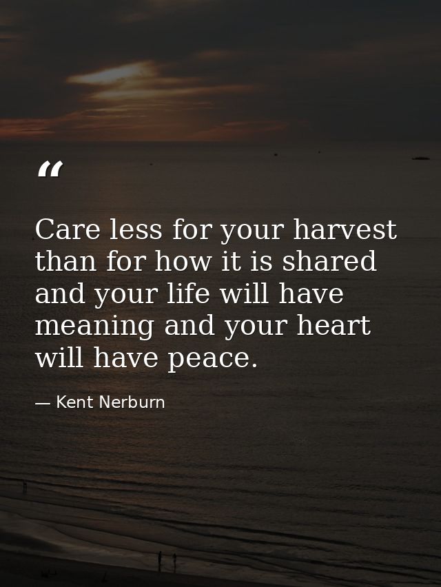 Care less for your harvest than for how it is shared and your life will have meaning and your heart will have peace. — Kent Nerburn