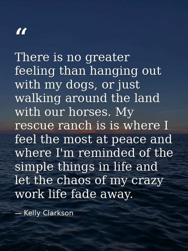 There is no greater feeling than hanging out with my dogs, or just walking around the land with our horses. My rescue ra — Kelly Clarkson