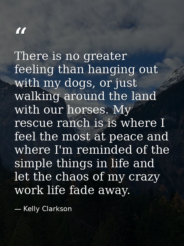 There is no greater feeling than hanging out with my dogs, or just walking around the land with our horses. My rescue ra — Kelly Clarkson