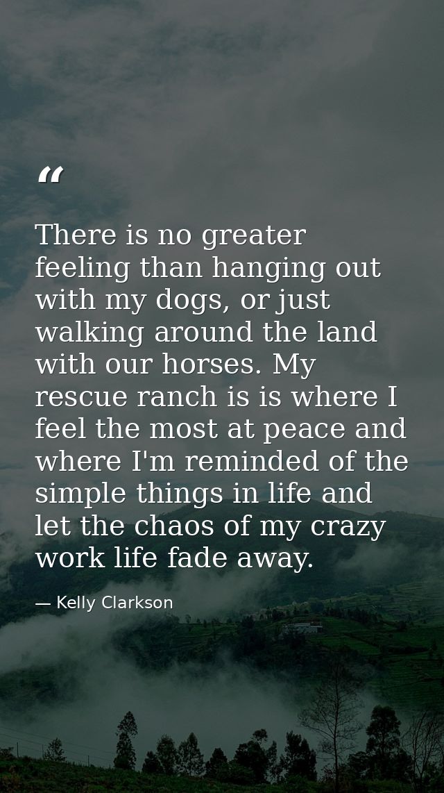 There is no greater feeling than hanging out with my dogs, or just walking around the land with our horses. My rescue ra — Kelly Clarkson