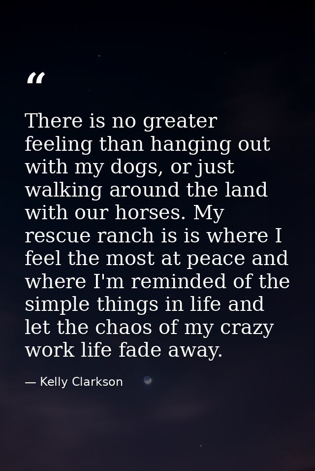 There is no greater feeling than hanging out with my dogs, or just walking around the land with our horses. My rescue ra — Kelly Clarkson