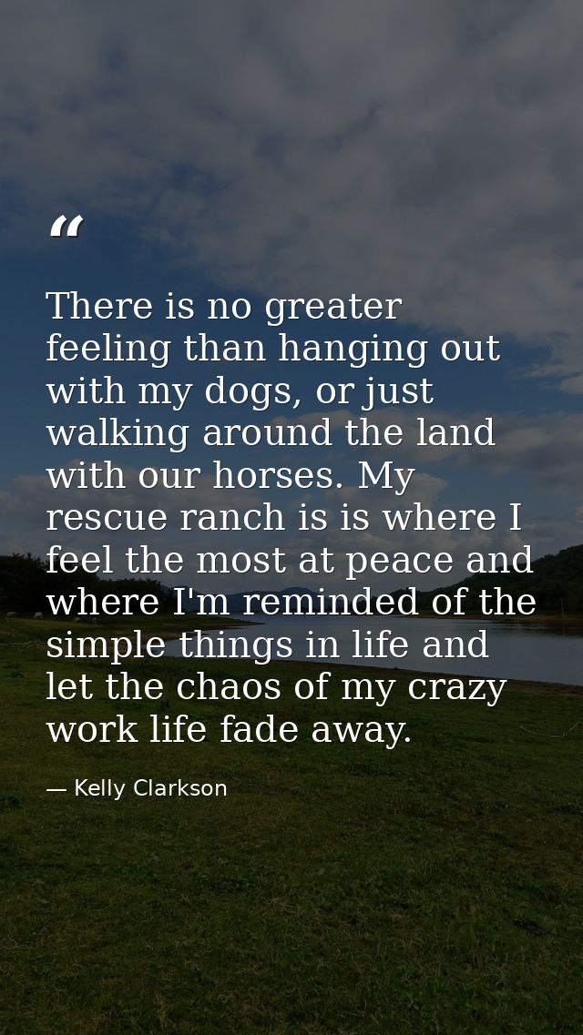 There is no greater feeling than hanging out with my dogs, or just walking around the land with our horses. My rescue ra — Kelly Clarkson