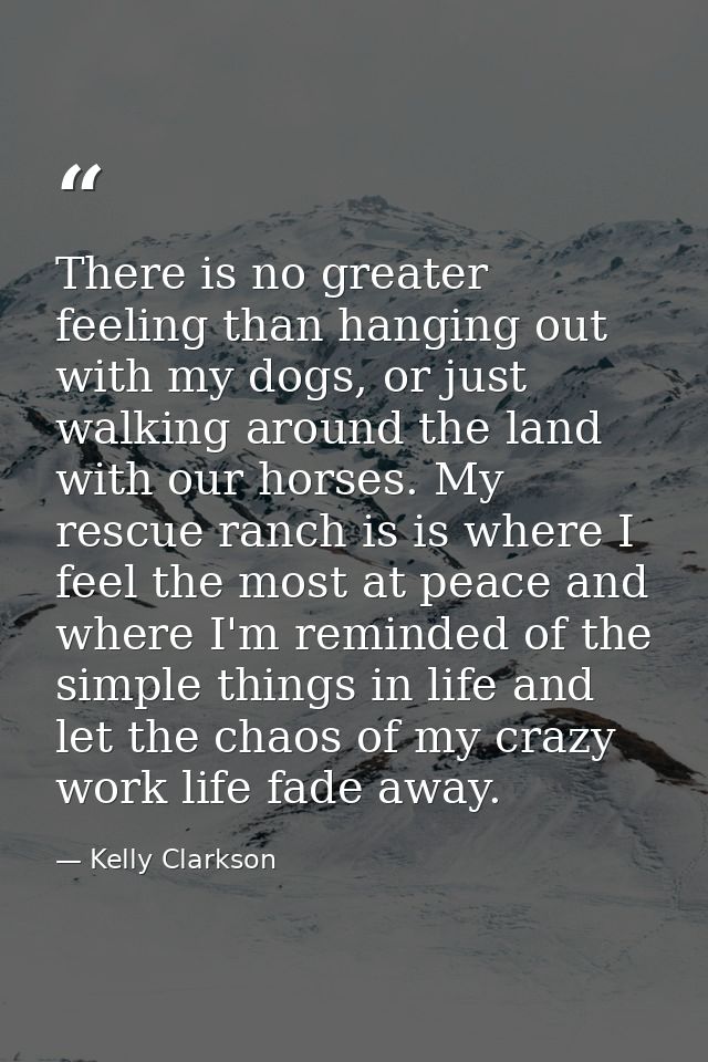 There is no greater feeling than hanging out with my dogs, or just walking around the land with our horses. My rescue ra — Kelly Clarkson
