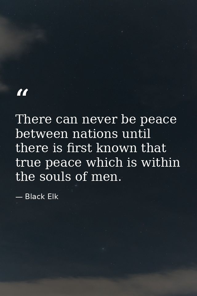 There can never be peace between nations until there is first known that true peace which is within the souls of men. — Black Elk