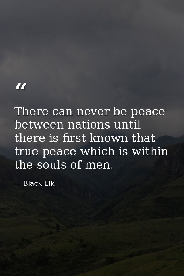There can never be peace between nations until there is first known that true peace which is within the souls of men. — Black Elk