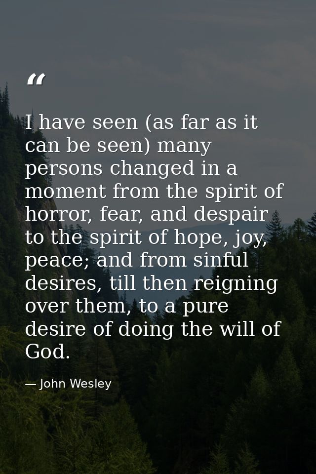 I have seen (as far as it can be seen) many persons changed in a moment from the spirit of horror, fear, and despair to  — John Wesley