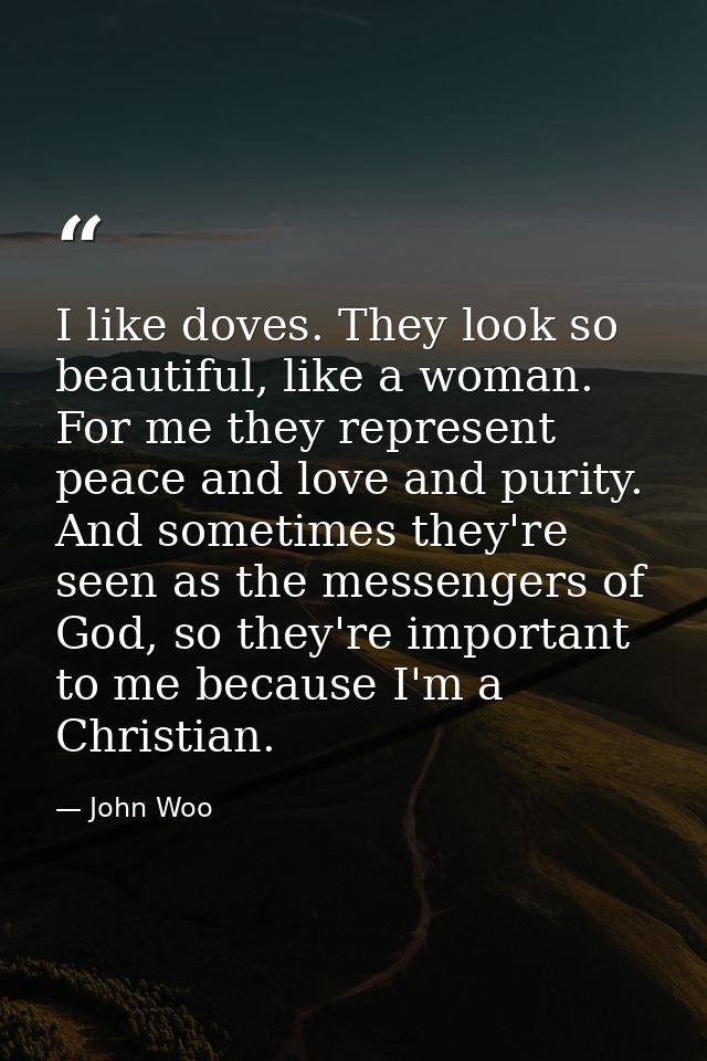 I like doves. They look so beautiful, like a woman. For me they represent peace and love and purity. And sometimes they' — John Woo