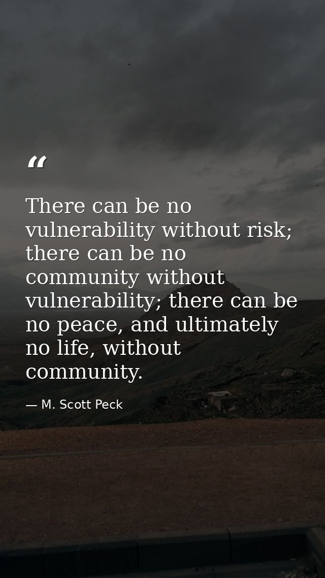 There can be no vulnerability without risk; there can be no community without vulnerability; there can be no peace, and  — M. Scott Peck