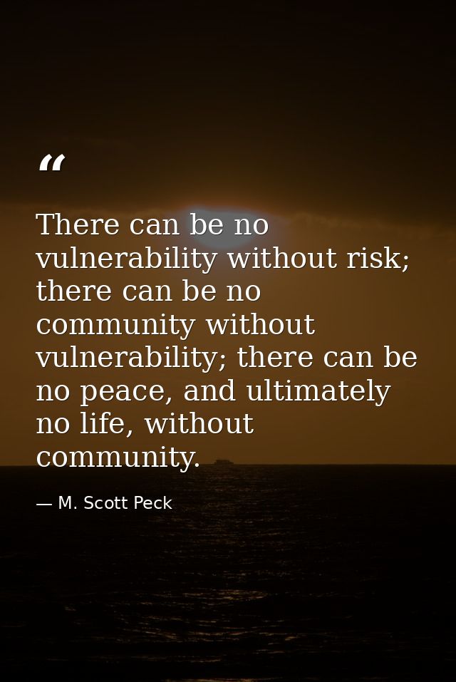 There can be no vulnerability without risk; there can be no community without vulnerability; there can be no peace, and  — M. Scott Peck