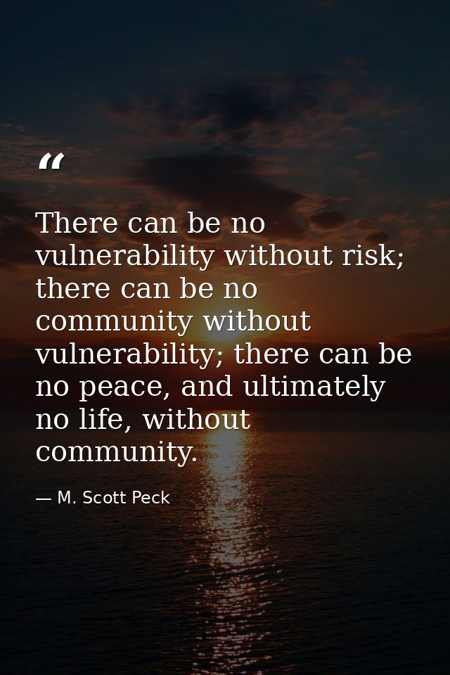 There can be no vulnerability without risk; there can be no community without vulnerability; there can be no peace, and  — M. Scott Peck