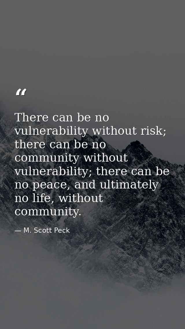 There can be no vulnerability without risk; there can be no community without vulnerability; there can be no peace, and  — M. Scott Peck