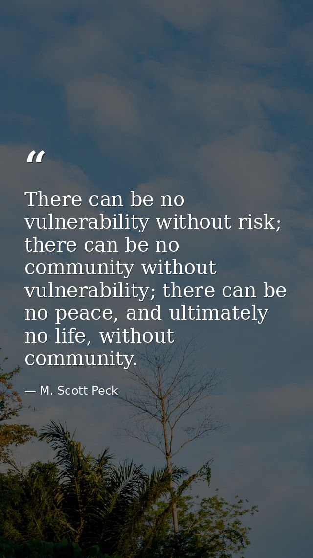 There can be no vulnerability without risk; there can be no community without vulnerability; there can be no peace, and  — M. Scott Peck