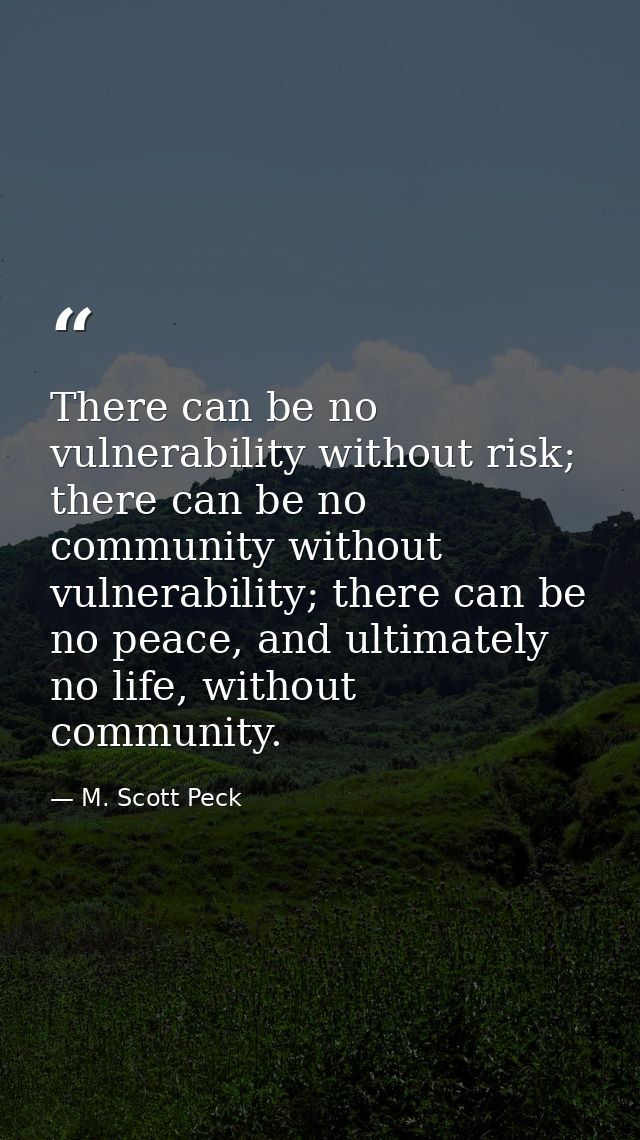 There can be no vulnerability without risk; there can be no community without vulnerability; there can be no peace, and  — M. Scott Peck