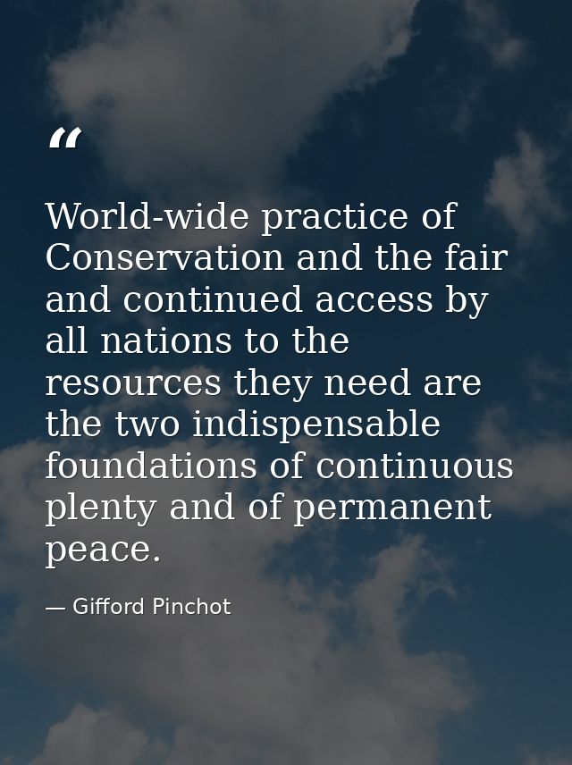 World-wide practice of Conservation and the fair and continued access by all nations to the resources they need are the  — Gifford Pinchot
