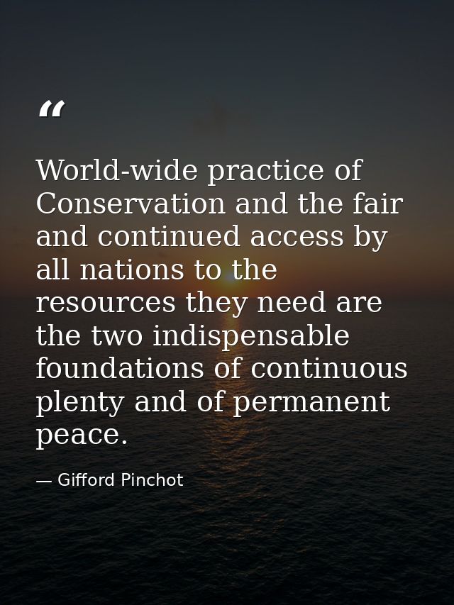 World-wide practice of Conservation and the fair and continued access by all nations to the resources they need are the  — Gifford Pinchot