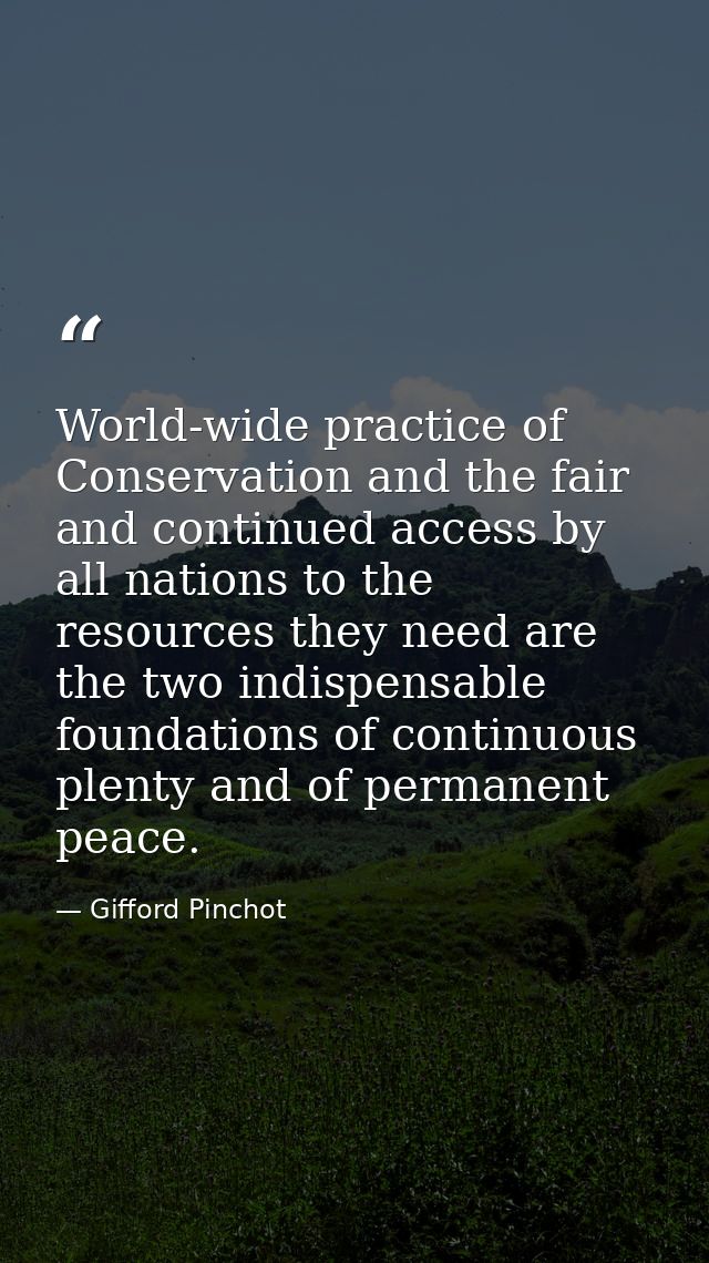 World-wide practice of Conservation and the fair and continued access by all nations to the resources they need are the  — Gifford Pinchot