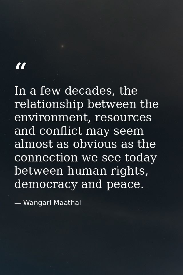 In a few decades, the relationship between the environment, resources and conflict may seem almost as obvious as the con — Wangari Maathai