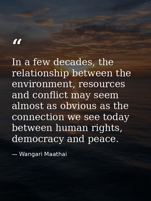In a few decades, the relationship between the environment, resources and conflict may seem almost as obvious as the con — Wangari Maathai