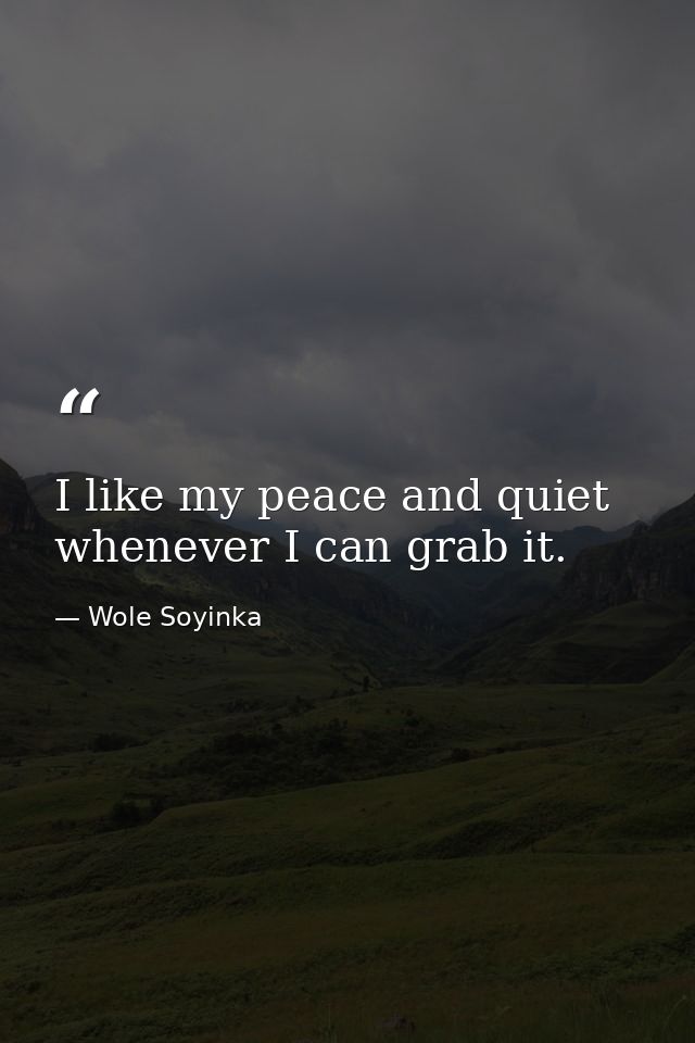 I like my peace and quiet whenever I can grab it. — Wole Soyinka